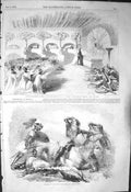 Old Antique Print 1856 Temple Sun Pizarro Princess Theatre Richard Astley 19th