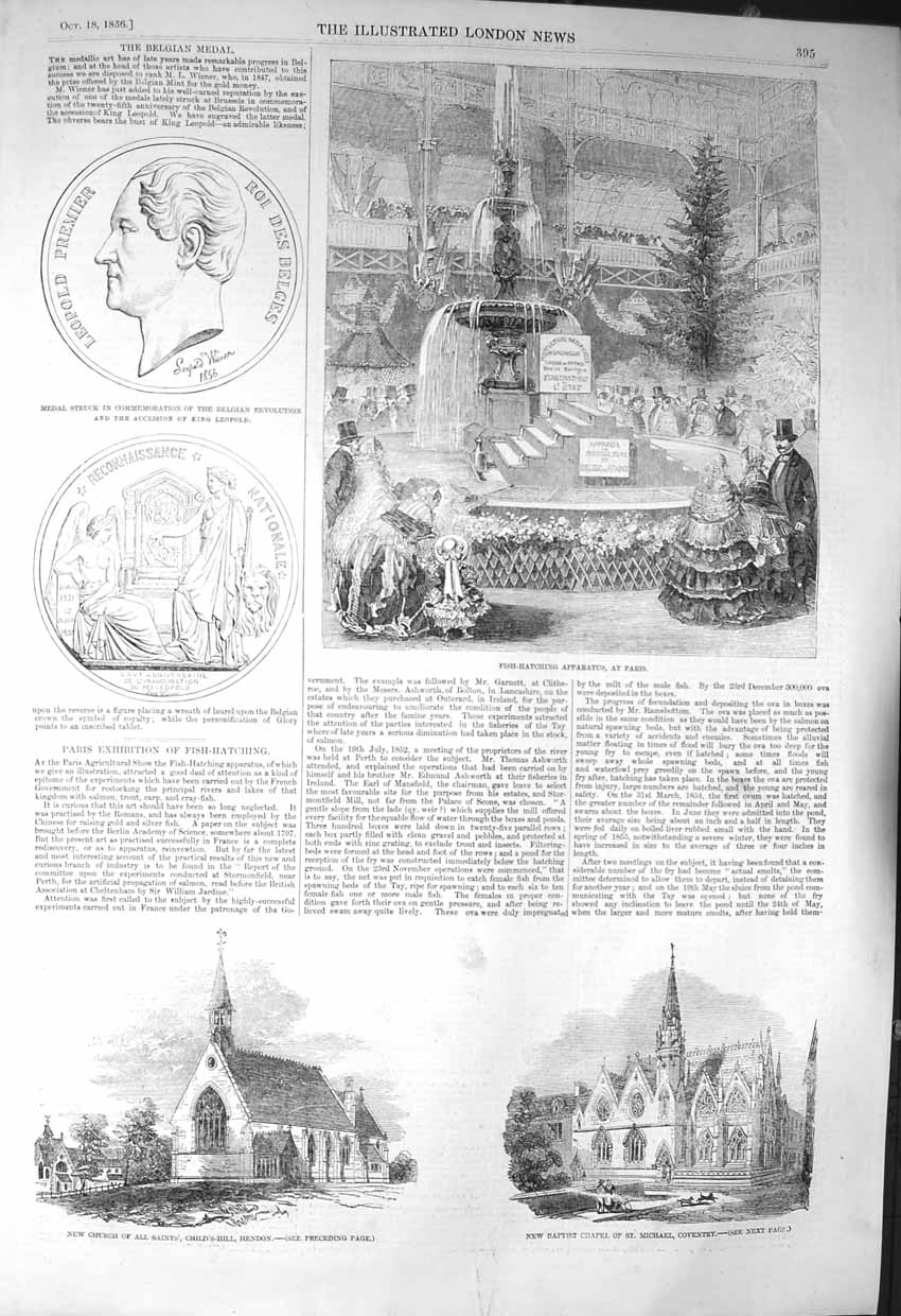 Original Old Antique Print 1856 Fish Hatching Paris Chuch Coventry Hendon Leop
