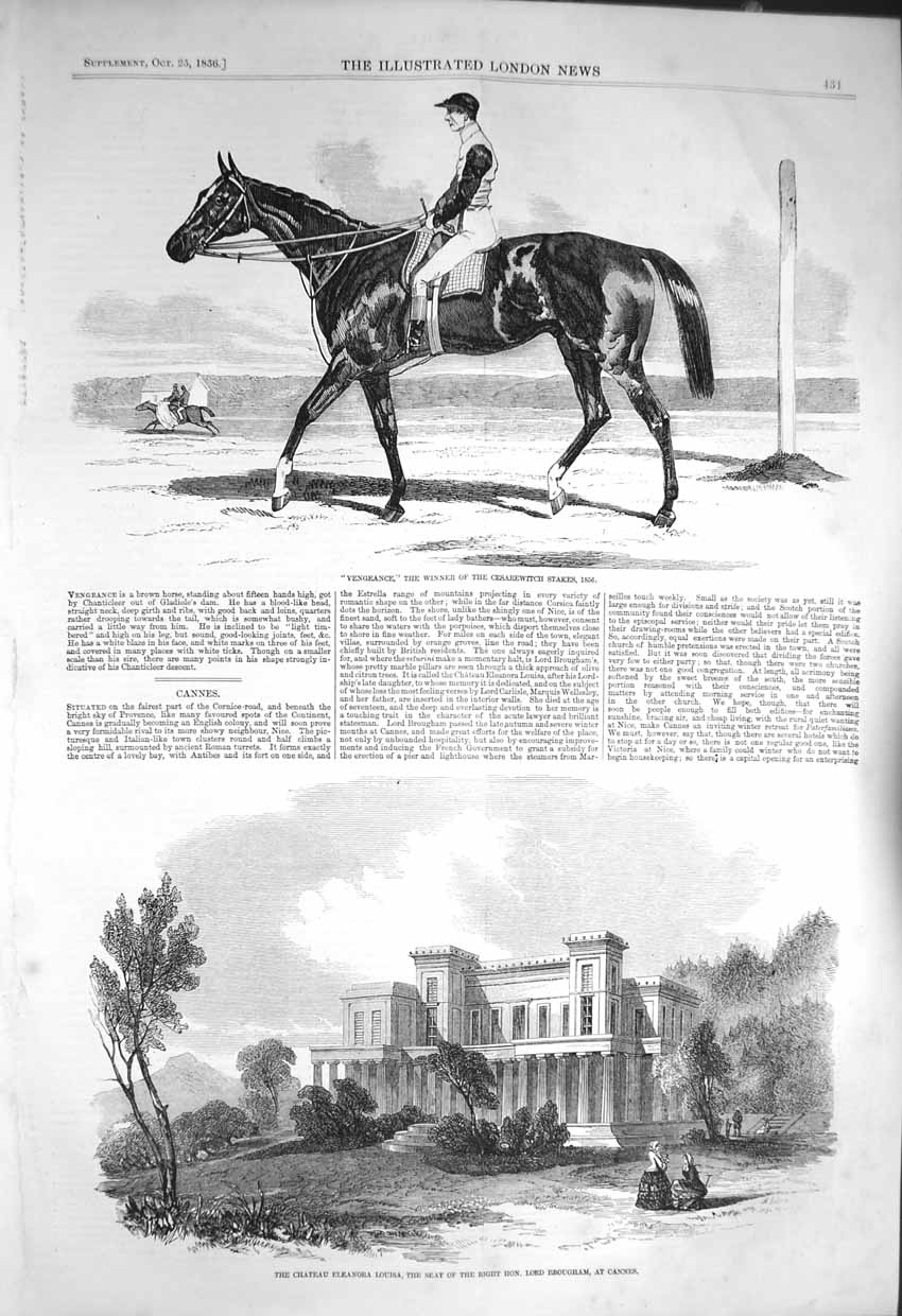 Original Old Antique Print 1856 Vengeance Horse Chateau Eleanora Louisa Cannes