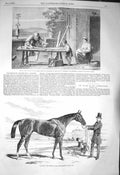 Old Antique Print 1856 Malacca Horse Cambridgeshire Le Raboteur Suffolk 19th