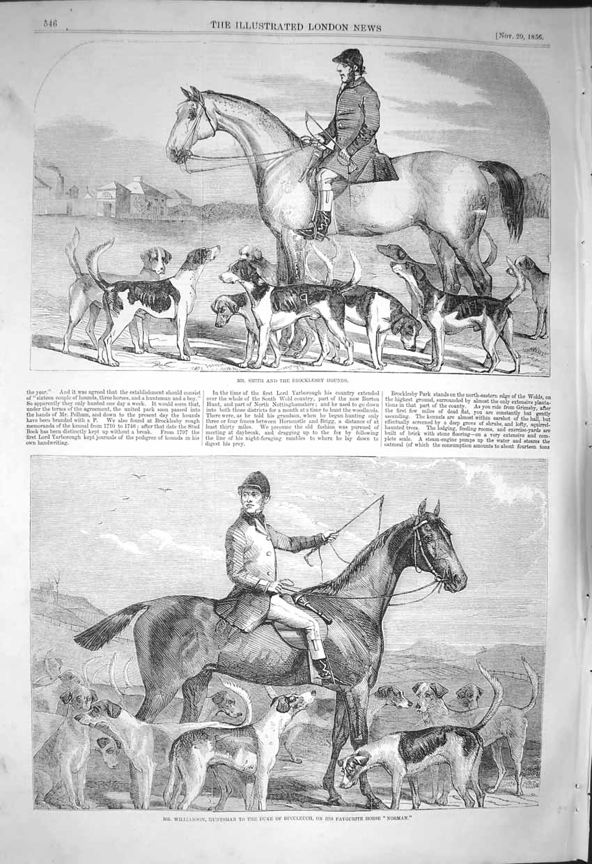 Original Old Antique Print 1856 Smith Brocklesby Hounds Williamson Norman Horse