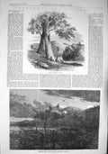 Original Old Antique Print 1857 Australia AbMode Disposing De 19th