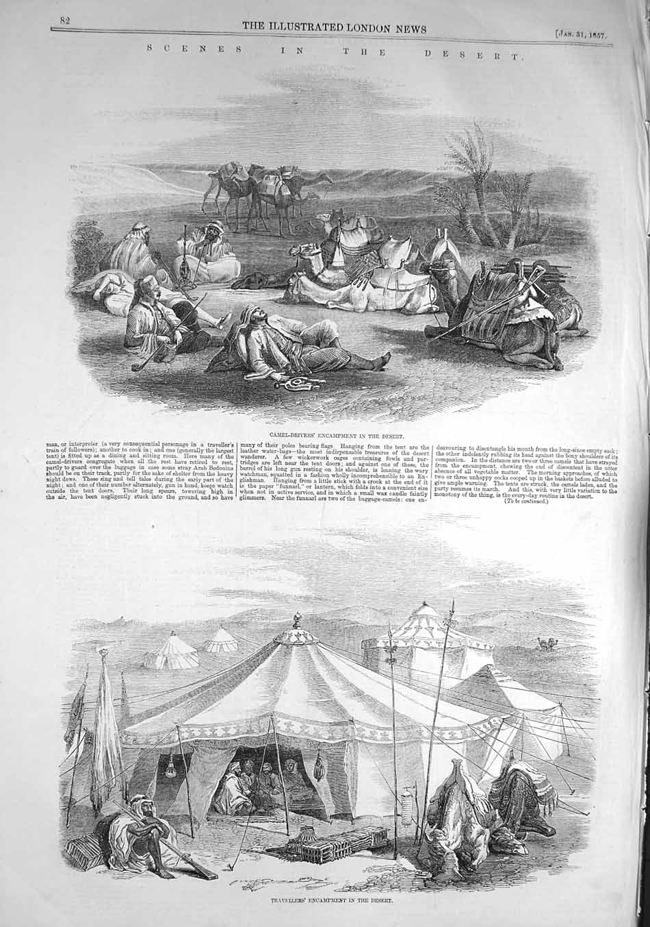 Original Old Antique Print 1857 Dersert Camel Drivers Encampment Travellers