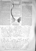 Original Old Antique Print 1857 Darius Vase Canosa Combat Greeks Amazons War