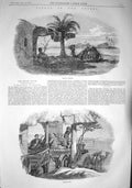 Original Old Antique Print 1857 Desert Noonday Shelter Camel Wayside CafÇ Scene