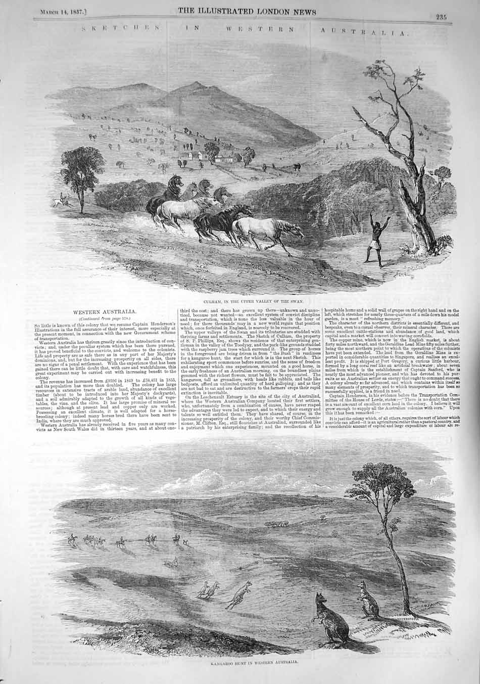 Original Old Antique Print 1857 Australia Culham Valley Swan Kangaroo Hun 19th