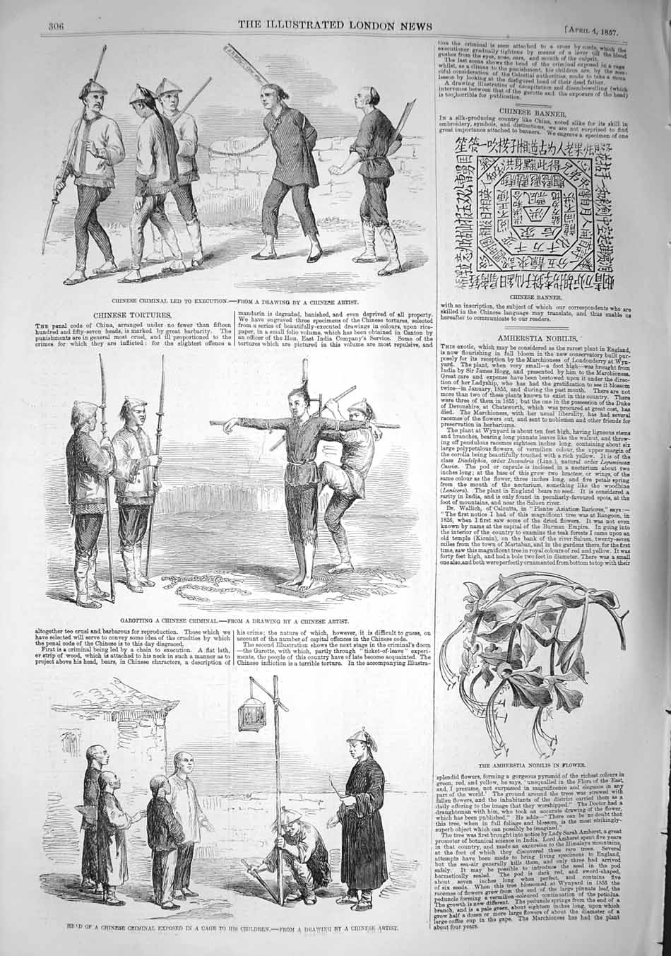 Original Old Antique Print 1857 Chinese Tortures Execution Garotting C Victorian