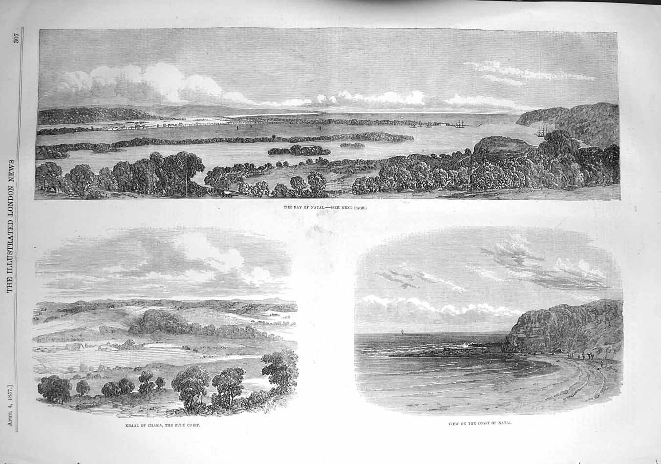 Original Old Antique Print 1857 View Bay Natal Kraal Chaka Zulu Chie Victorian