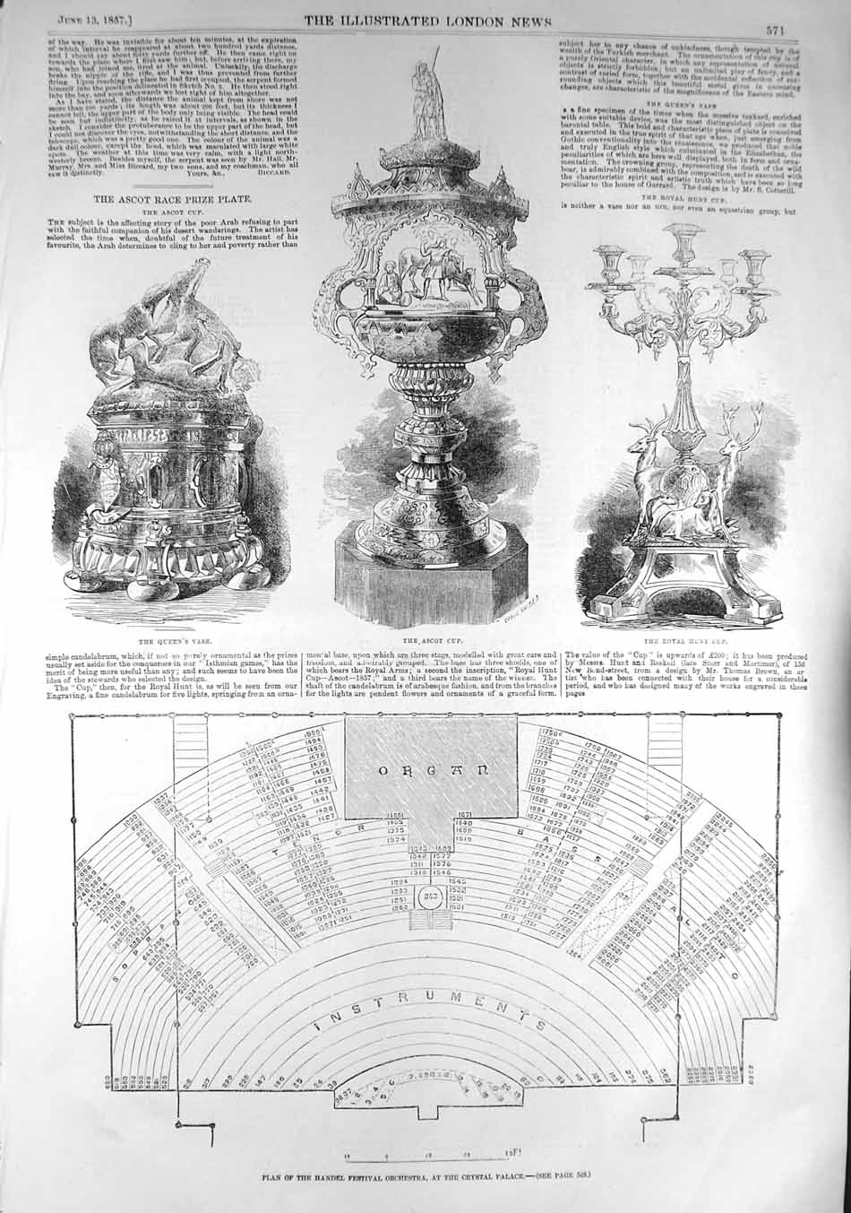 Old Antique Print 1857 Plan Handel Festival Orchestra Crystal Palace Cup 19th