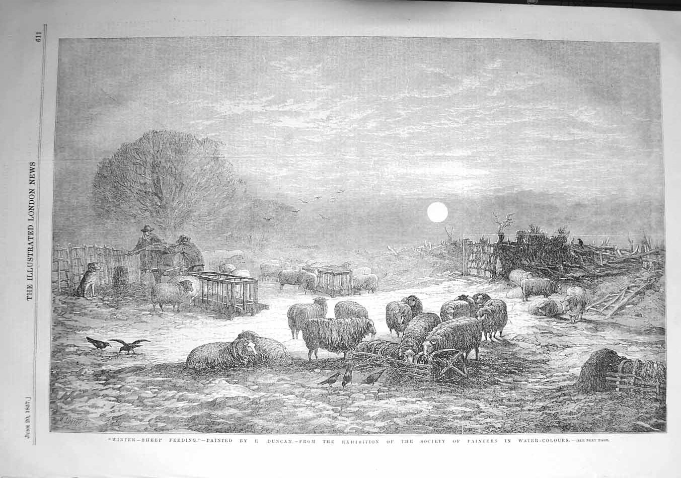 Original Old Antique Print 1857 Winter Sheep Feeding Scene Snow Birds Sunlight