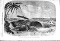 Original Old Antique Print 1857 Bore Great Tidal Wave Calcutta India Storm 19th