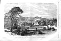 Original Old Antique Print 1857 Alton Towers Earl Shrewsbury Gardens Trees 19th