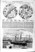 Original Old Antique Print 1857 Fox Arctic Ship Lady Franklin Water Ser 19th
