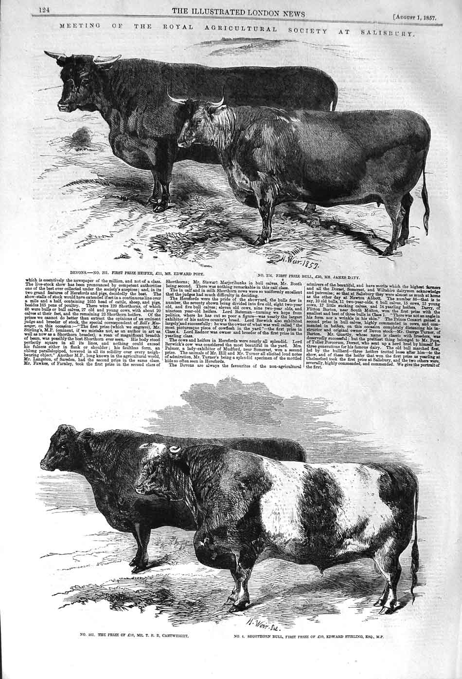 Original Old Antique Print 1857 Agricultural Show Cattle Bull Horse Lord 19th