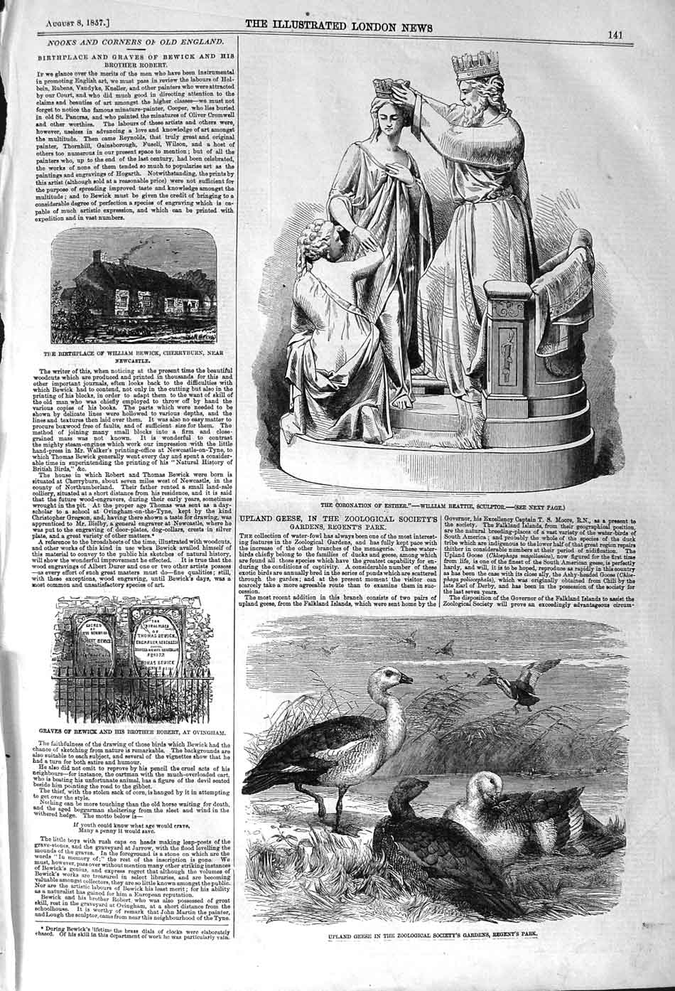 Original Old Antique Print 1857 Upland Geese Coronation Esther Statue Bewick