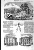 Original Old Antique Print 1857 Oswestry Newton Railway Townhall Rugby Lincoln