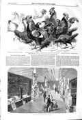 Original Old Antique Print 1857 Musuem Kensington Fowls Crystal Palace Cochin