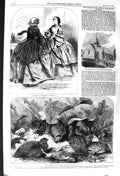 Original Old Antique Print 1857 Church Anne Penistone Womens Fashion Partridge