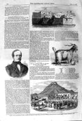 Original Old Antique Print 1857 Angora Goat Wahlberg French Consul Morocc 19th