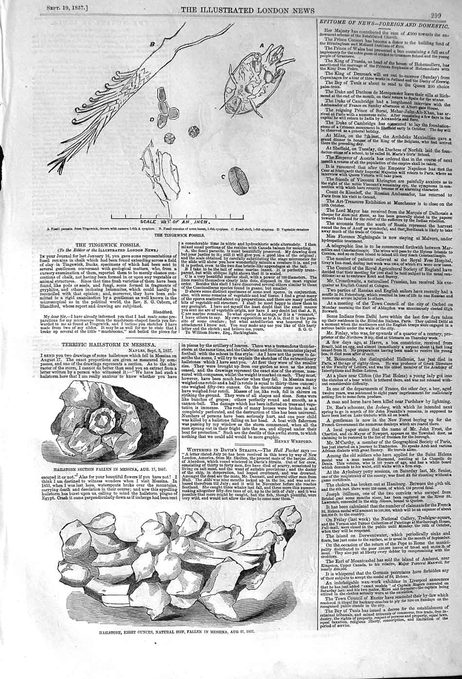 Old Antique Print 1857 Hailstone Messina Tingewick Fossils Belooch Levies 19th
