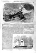 Old Antique Print 1857 Wreck Brig Ship Pilgrim American Slaver Antelope 19th