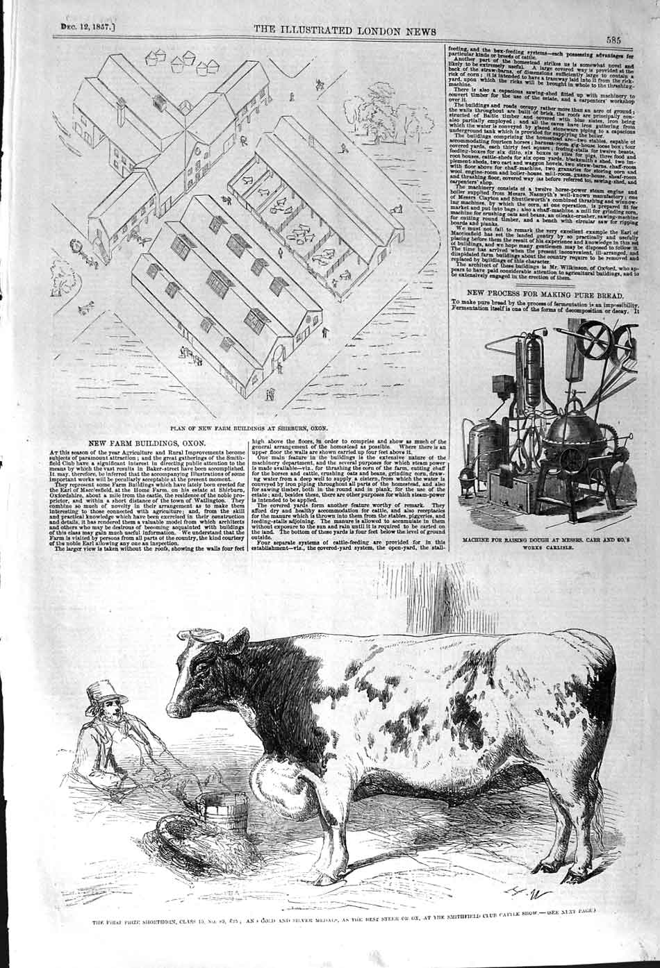 Original Old Antique Print 1857 Plan Farm Buildings Shirburn Shorthorn Cow Carr