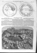 Original Old Antique Print 1858 Emerald Bracelet Diamond Princess Royal Medal