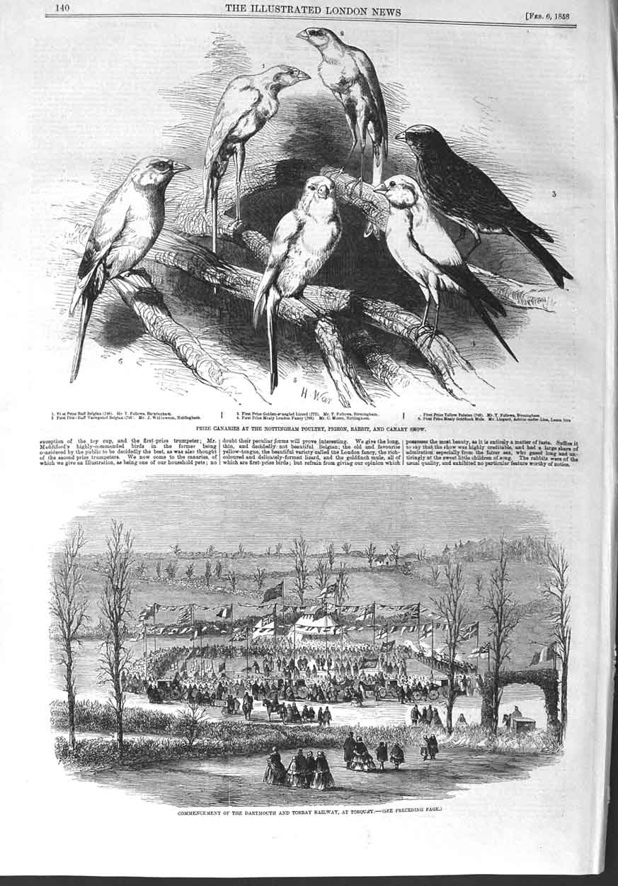 Original Old Antique Print 1858 Canaries Poultry Pigeon Show Torbay Railway