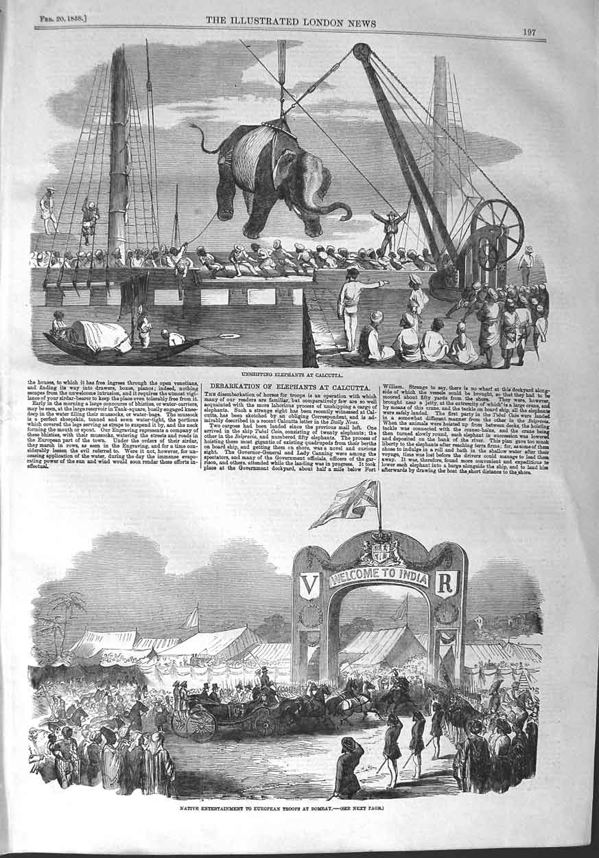 Old Antique Print 1858 Elephants Calcutta Natives European Troops Bombay 19th