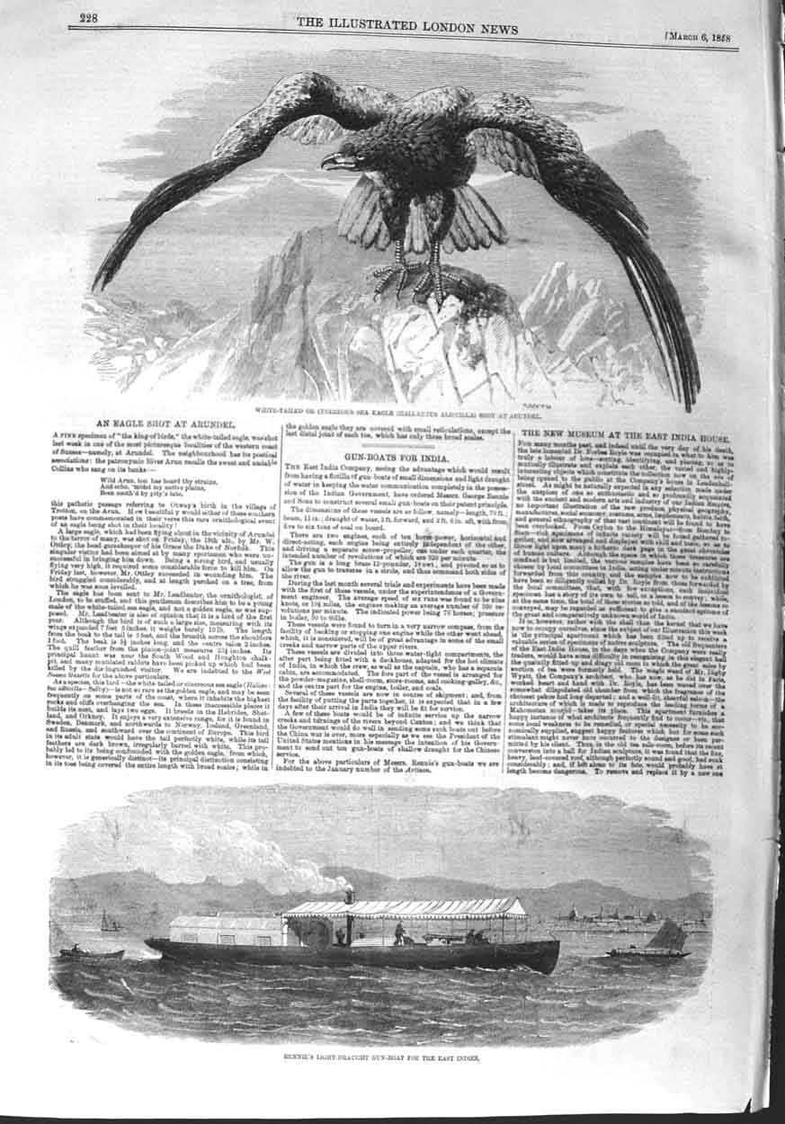 Original Old Antique Print 1858 Rennie Light Draught Gun-Boat Sea Eagle Arundel