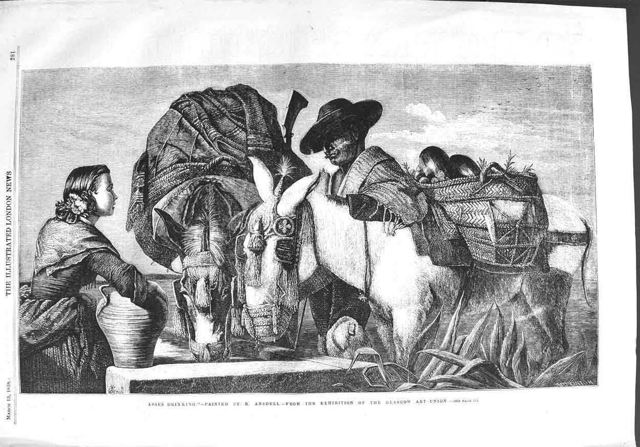 Original Old Antique Print 1858 Scene Asses Drinking Water Donkeys Ansdell 19th