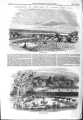 Original Old Antique Print 1858 Cultivation Arrow Root Durban Natal Laboratory