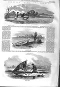 Original Old Antique Print 1858 America Hunting Canoe Otter Devil Fish Carolina