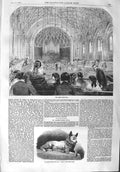 Old Antique Print 1858 St. James'S Music Hall Dr. Kane Esquimaux Dog Etah 19th