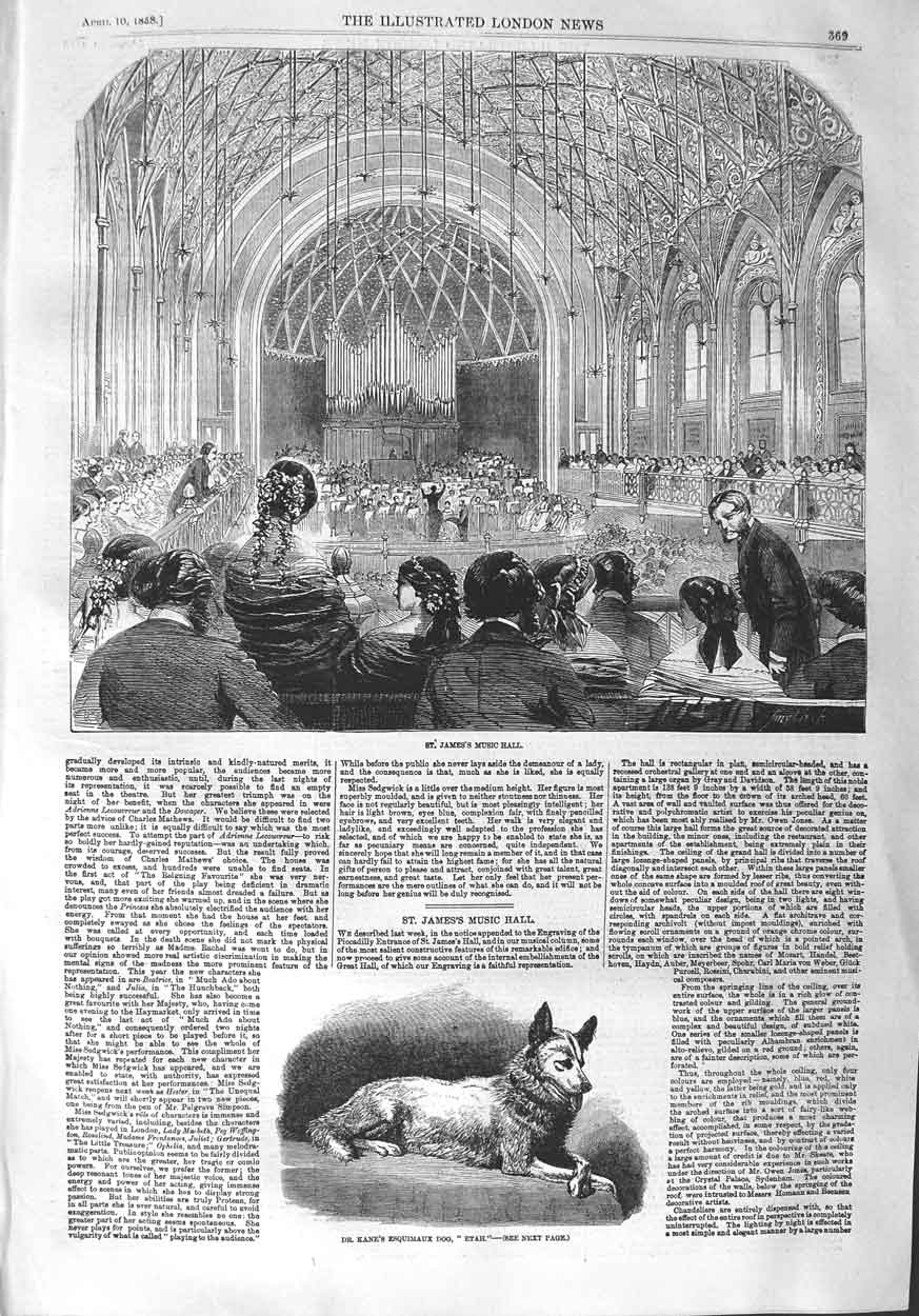 Old Antique Print 1858 St. James'S Music Hall Dr. Kane Esquimaux Dog Etah 19th
