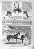 Original Old Antique Print 1858 Rarey Horse-Tamer Cruiser Horse Joh Victorian