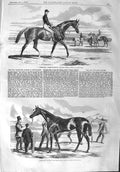Original Old Antique Print 1858 Fitzroland Horse Governess Two Thousand Stakes