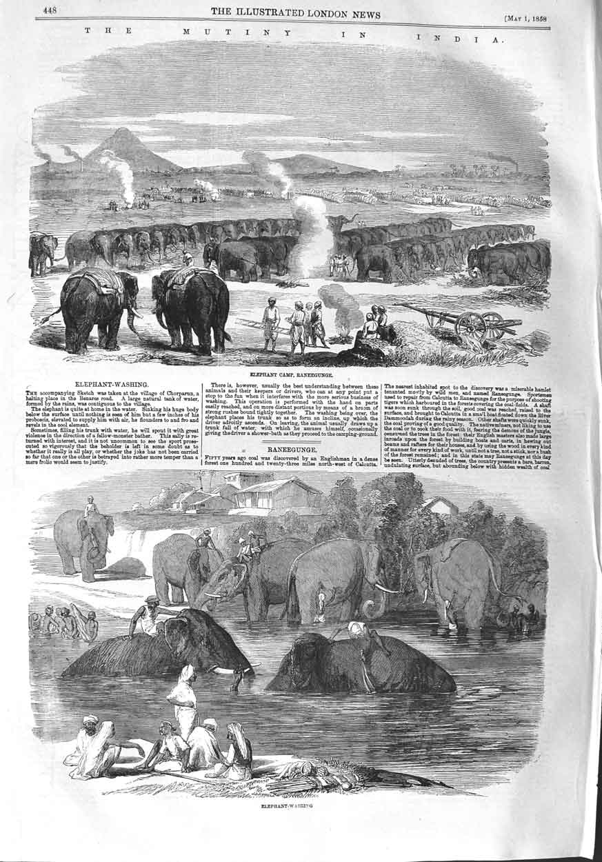 Original Old Antique Print 1858 India Elephant Camp Raneegunge Washing River