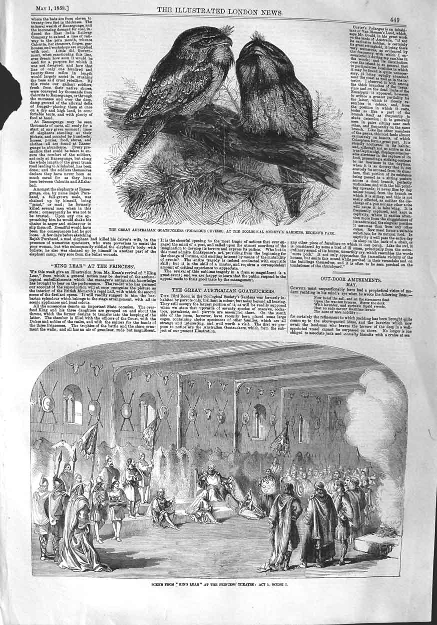 Old Antique Print 1858 Australian Goatsuckers King Lear Princess Theatre 19th