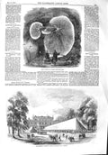 Old Antique Print 1858 Fungus Tunnel Doncaster Fete Tottenham Wiltshire 19th