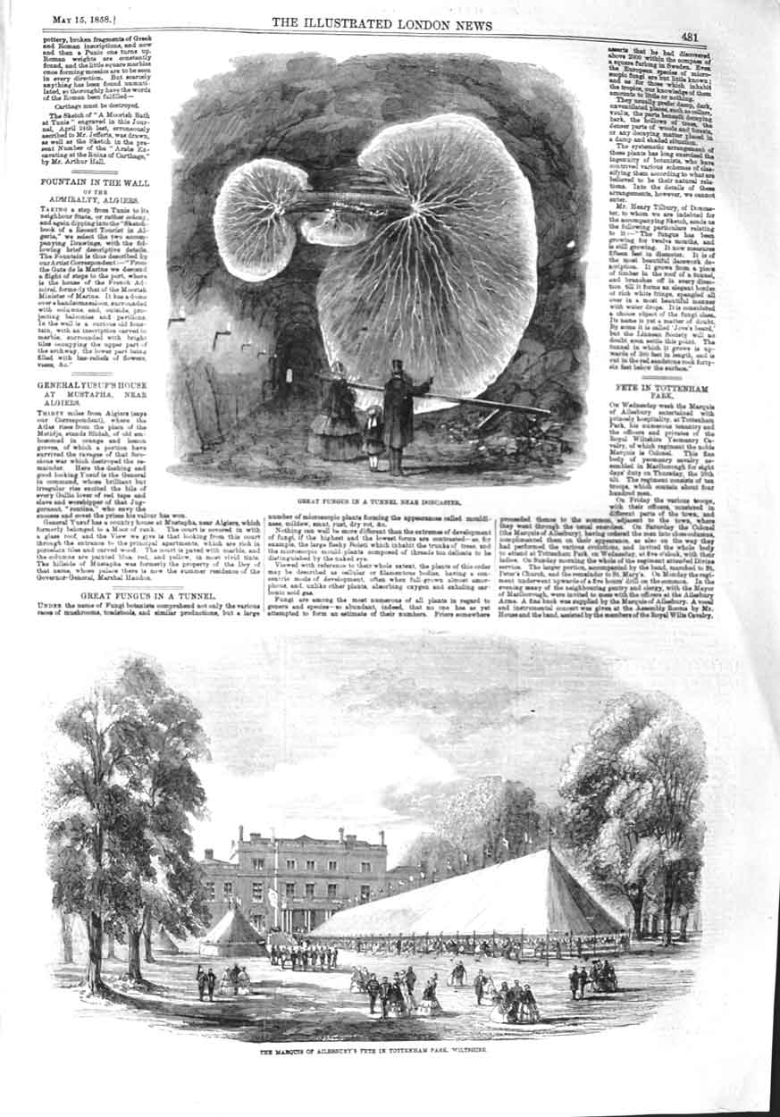 Old Antique Print 1858 Fungus Tunnel Doncaster Fete Tottenham Wiltshire 19th