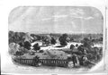 Original Old Antique Print 1858 Queen England View Aston Park View Birmingham
