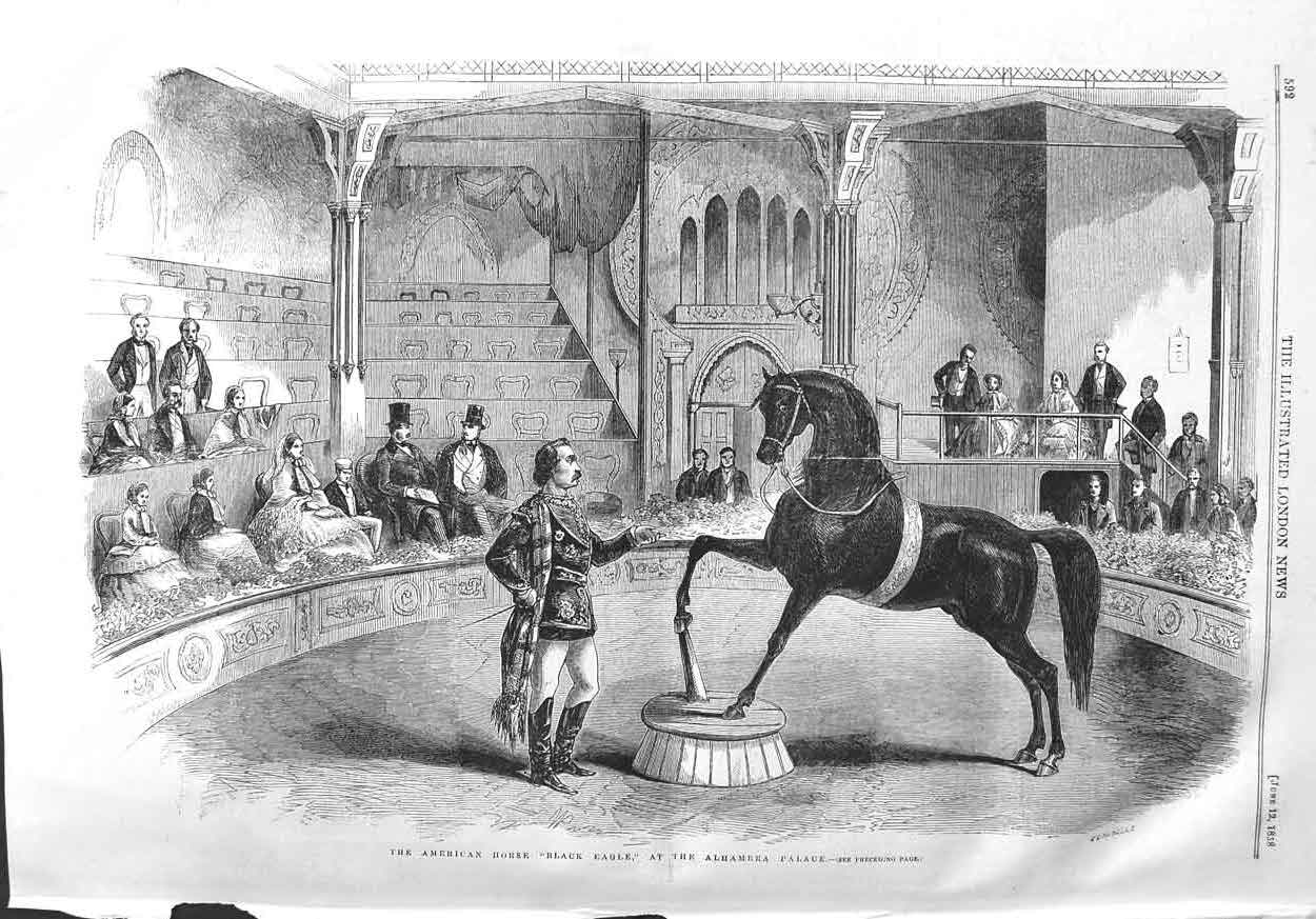 Original Old Antique Print 1858 American Horse Black Eagle Alhambra Victorian