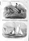 Original Old Antique Print 1858 Missl Gilbert Horse Yacht Zillah Gnome Southend
