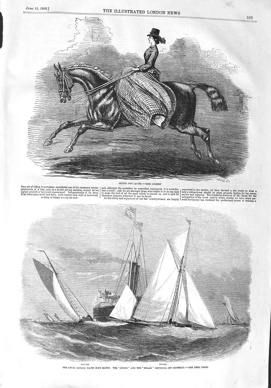 Original Old Antique Print 1858 Missl Gilbert Horse Yacht Zillah Gnome Southend