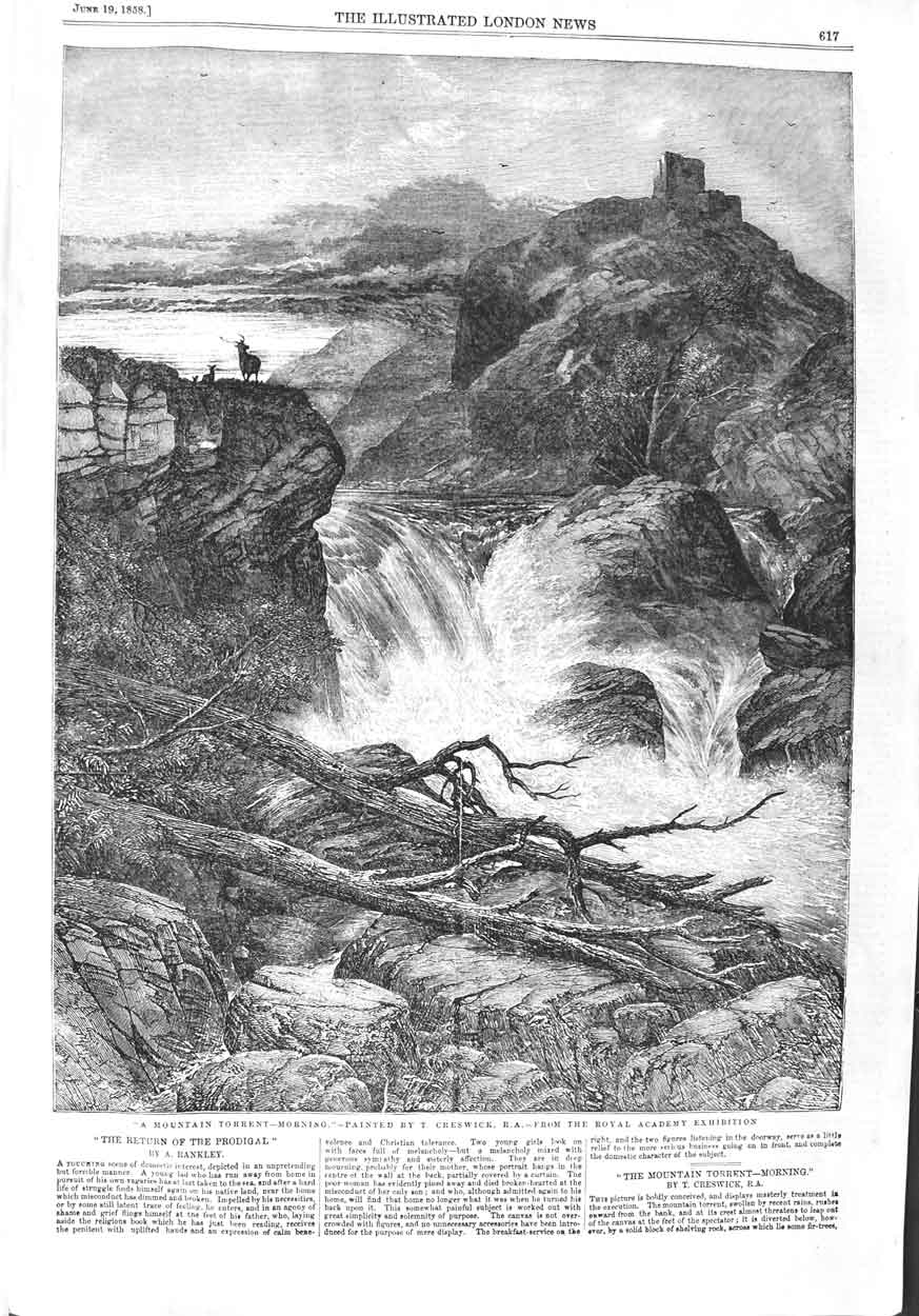 Original Old Antique Print 1858 View Mountain River Torrent Stag Fine Art 19th