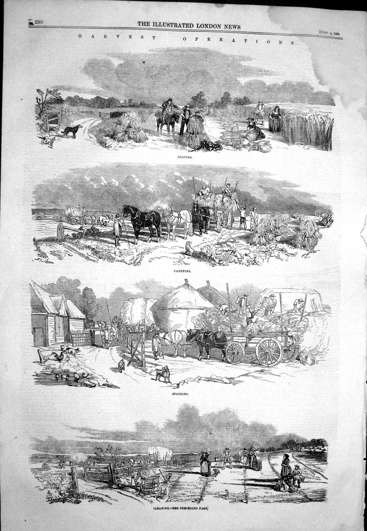 Old 1858 Harvest Agriculture Reaping Carrying Stacking Gleaning Farmi Victorian