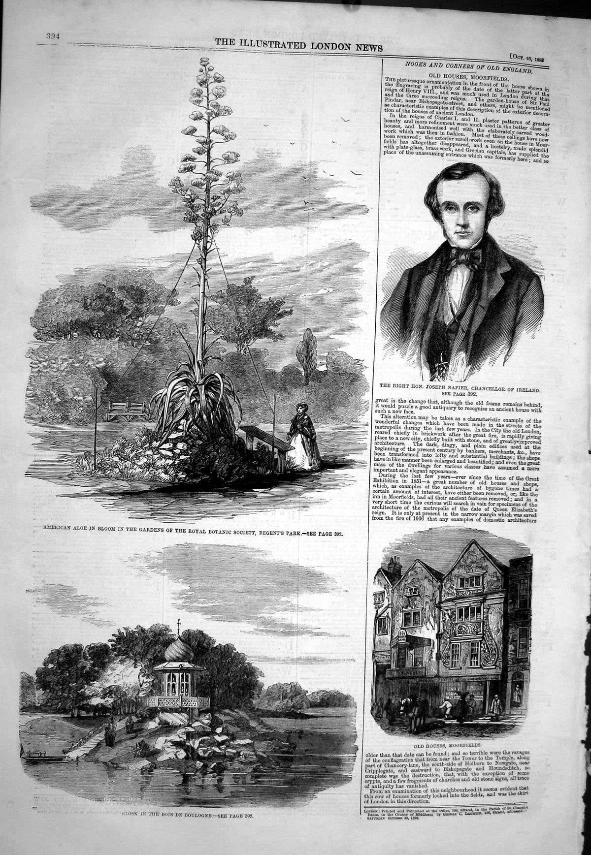 Old 1858 American Aloe Botanic Regent'S Garden Kiosk Bois Boulogne Jo Victorian