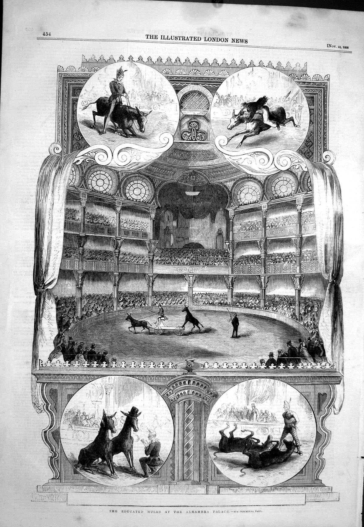 Antique Print 1858 Performing Educated Mules Alhambra Palace Entertainment 19th