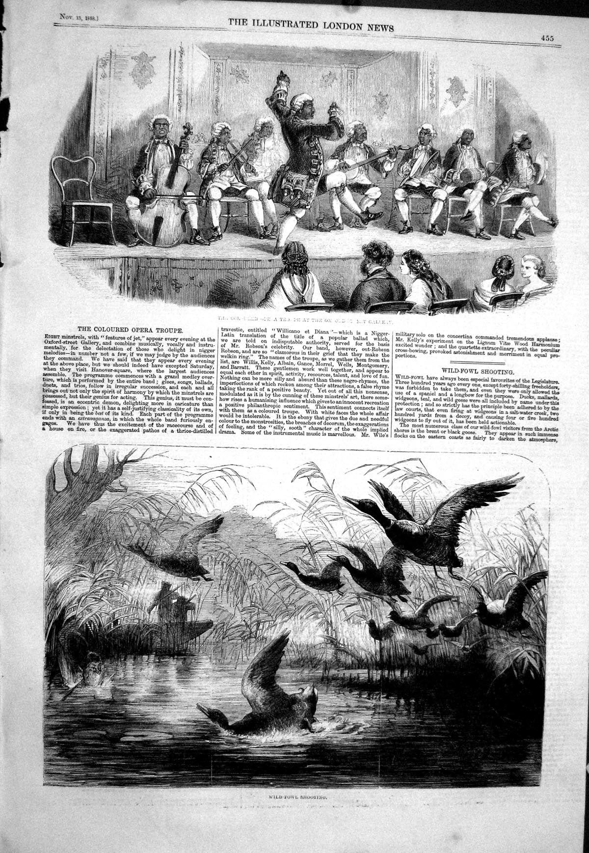 Antique Old Print 1858 Wild Fowl Birds Shooting Hunting Coloured Opera Troupe
